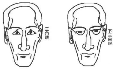 聳鼻|面相解析孤峰獨聳鼻的各種情況